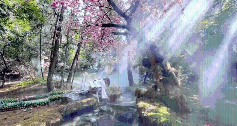 裙上繁花